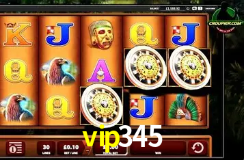 Interface Premium vip345